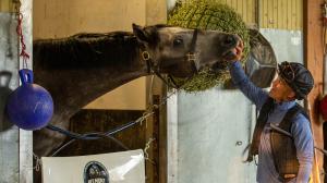 Javier Castellano, Arcangelo, Breeders’ Cup Classic, Eclipse Sportswire